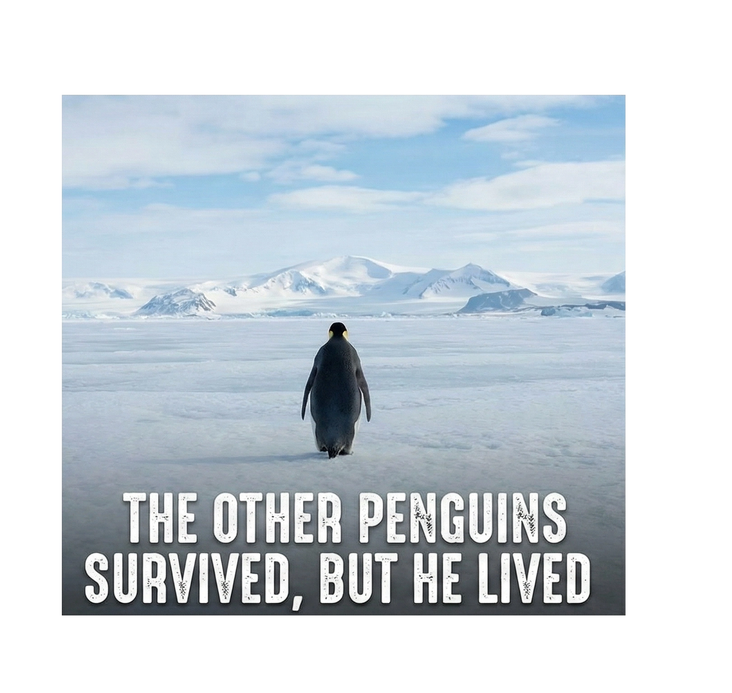 Kadın 3 İplik Pamuklu Kapüşonlu Hoodie Sweatshirt Survivor Penguen Baskılı - Beyaz