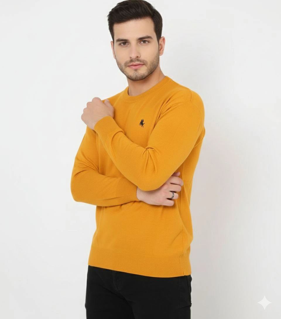 Bisiklet Yaka Nakış işlemeli Triko Kazak yumuşak dokulu Pamuklu ince Dokuma, uzun kollu Rahat Regular kalıp - Turuncu