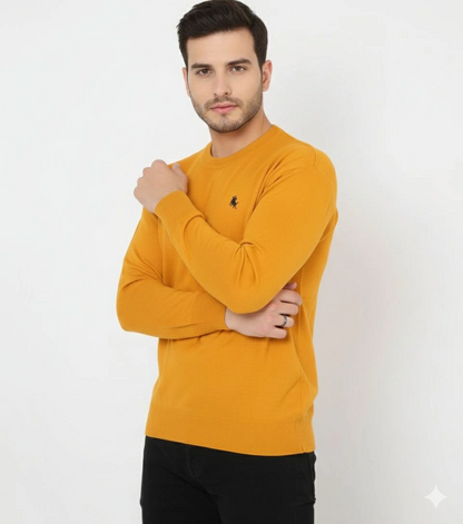 Bisiklet Yaka Nakış işlemeli Triko Kazak yumuşak dokulu Pamuklu ince Dokuma, uzun kollu Rahat Regular kalıp - Turuncu